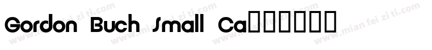 Gordon Buch Small Ca字体转换